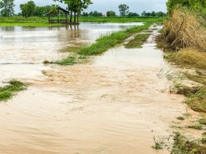 flood study land surveying