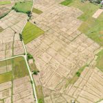 land surveys